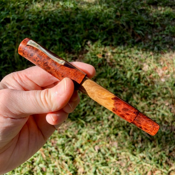 Novelist in Old Growth Amboyna Burl with Sapwood, Heirloom Quality - Medium