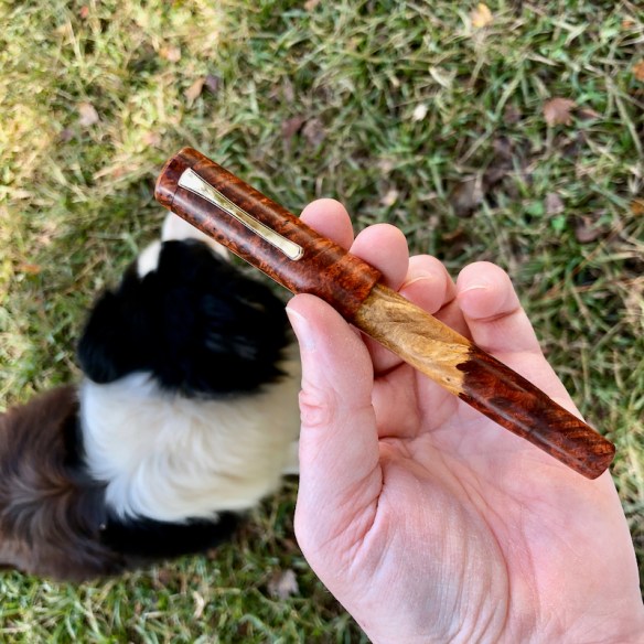 Novelist in Old Growth Amboyna Burl with Sapwood, Heirloom Quality - Medium