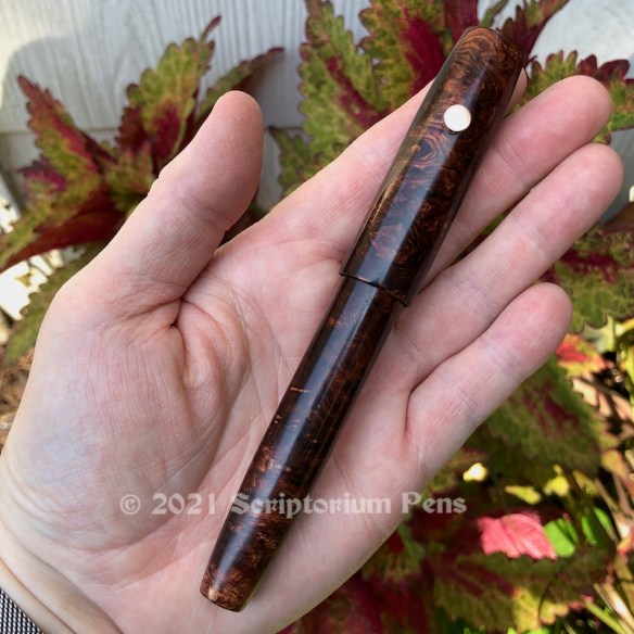 Scholar in Honduran Rosewood Burl, Exhibition Quality, with Copper Iota Roll Stop - Large