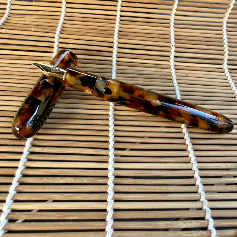 Sonneteer in Cream and Brown Cellulose Acetate - Medium